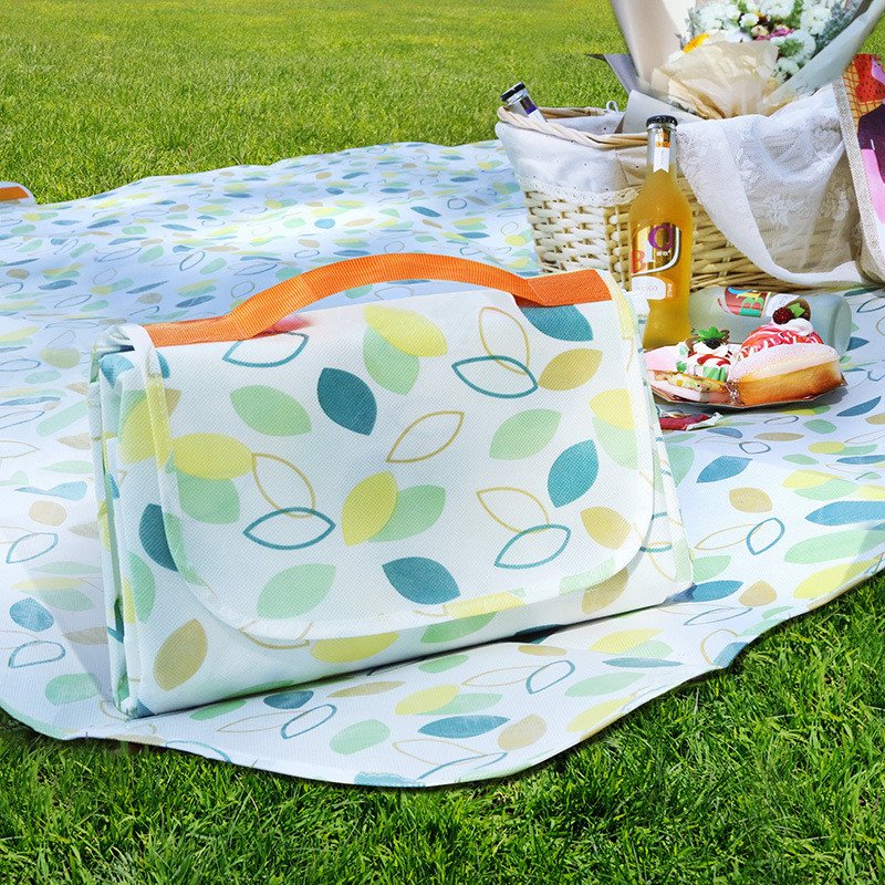 Picnic Blanket 6 Persuna