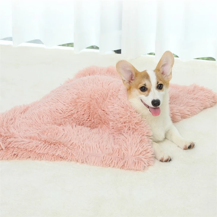 PV   Pet   Throw   Kutra